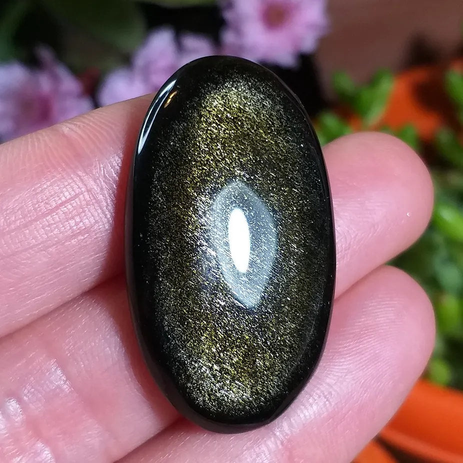 Obsidiana Dorada - 37,5x21,8 mm
