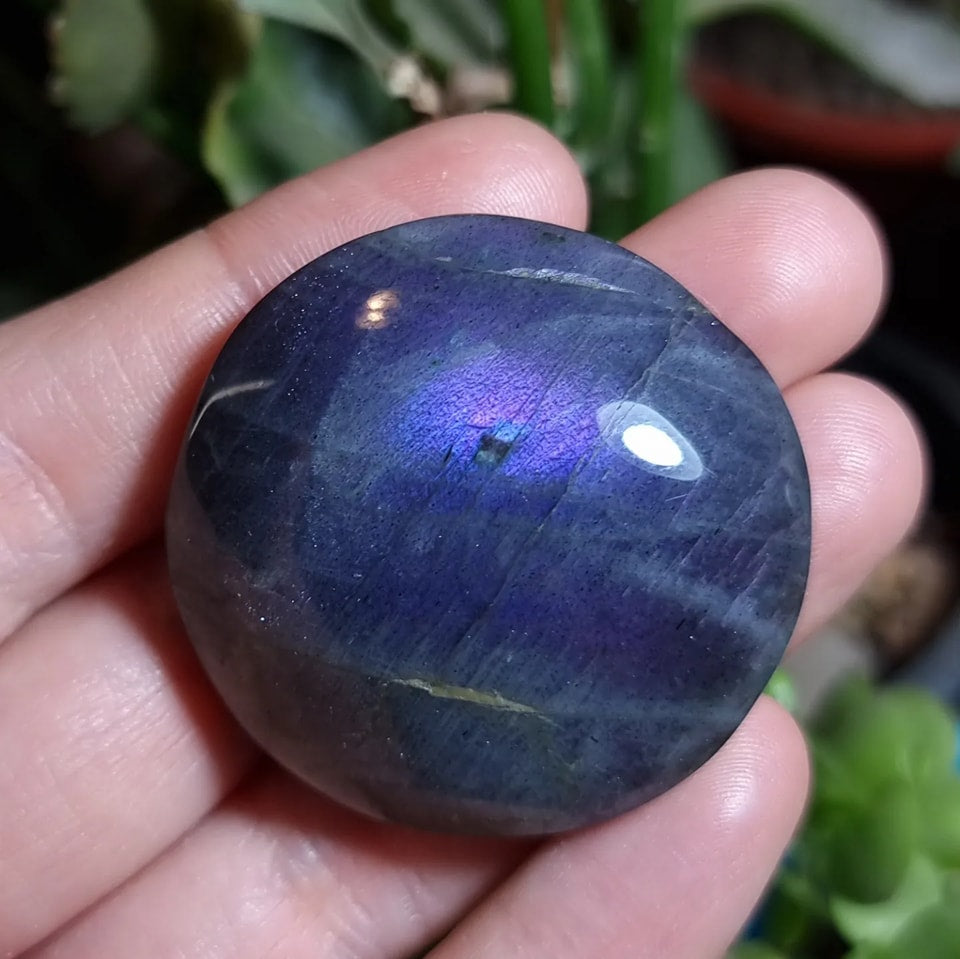 Labradorita Gris Morada - 40,2x41,2 mm