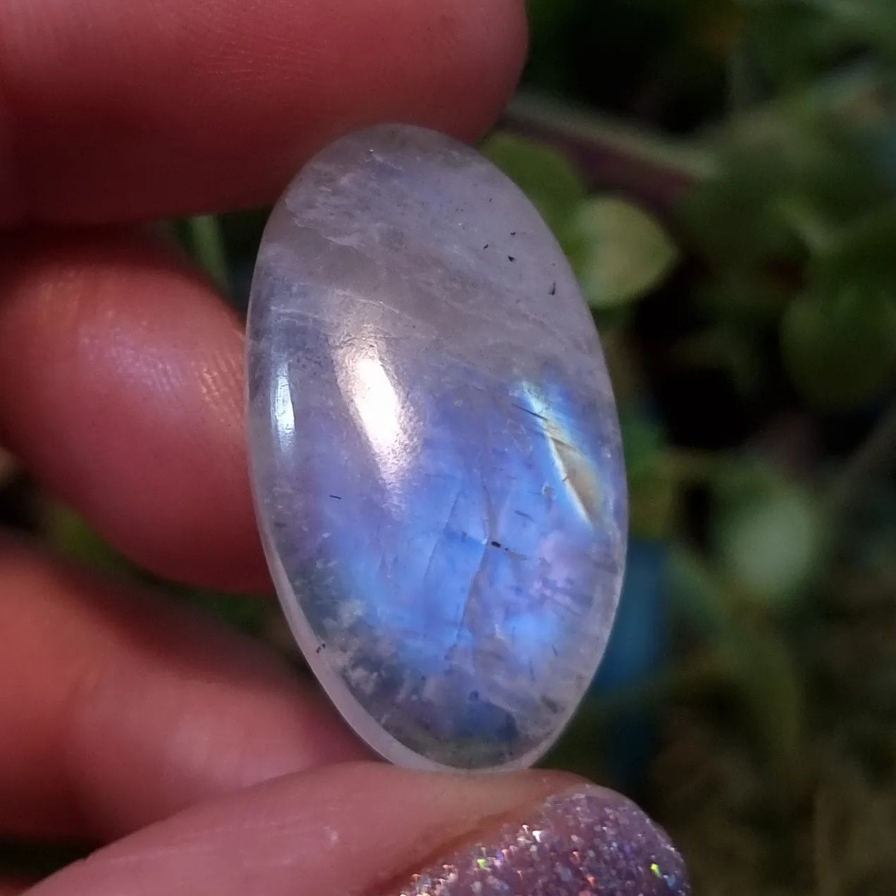 Labradorita Blanca/Piedra Luna Arcoíris - 30,3x16,0 mm