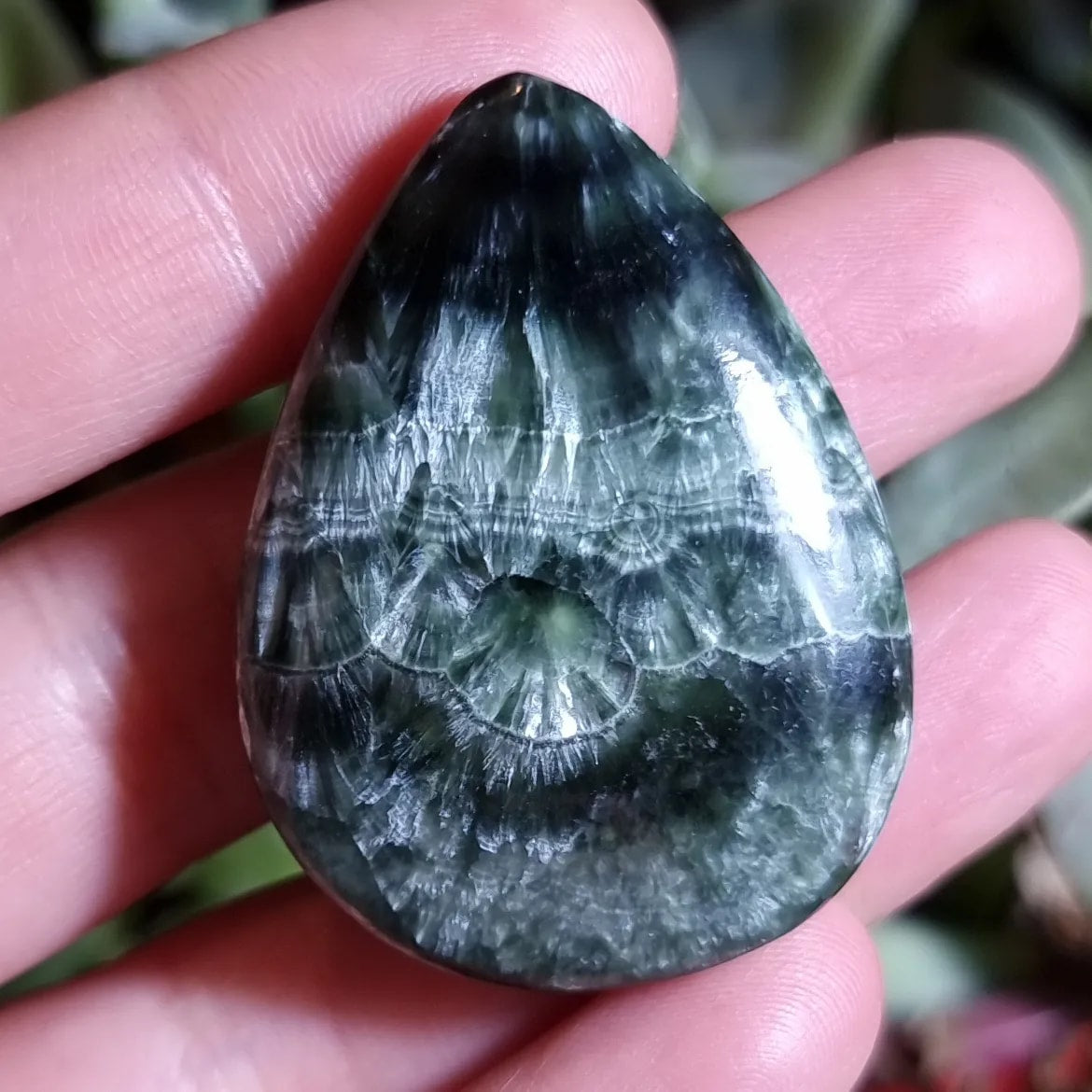 Serafinita Alta Calidad - 42,4x31,3 mm