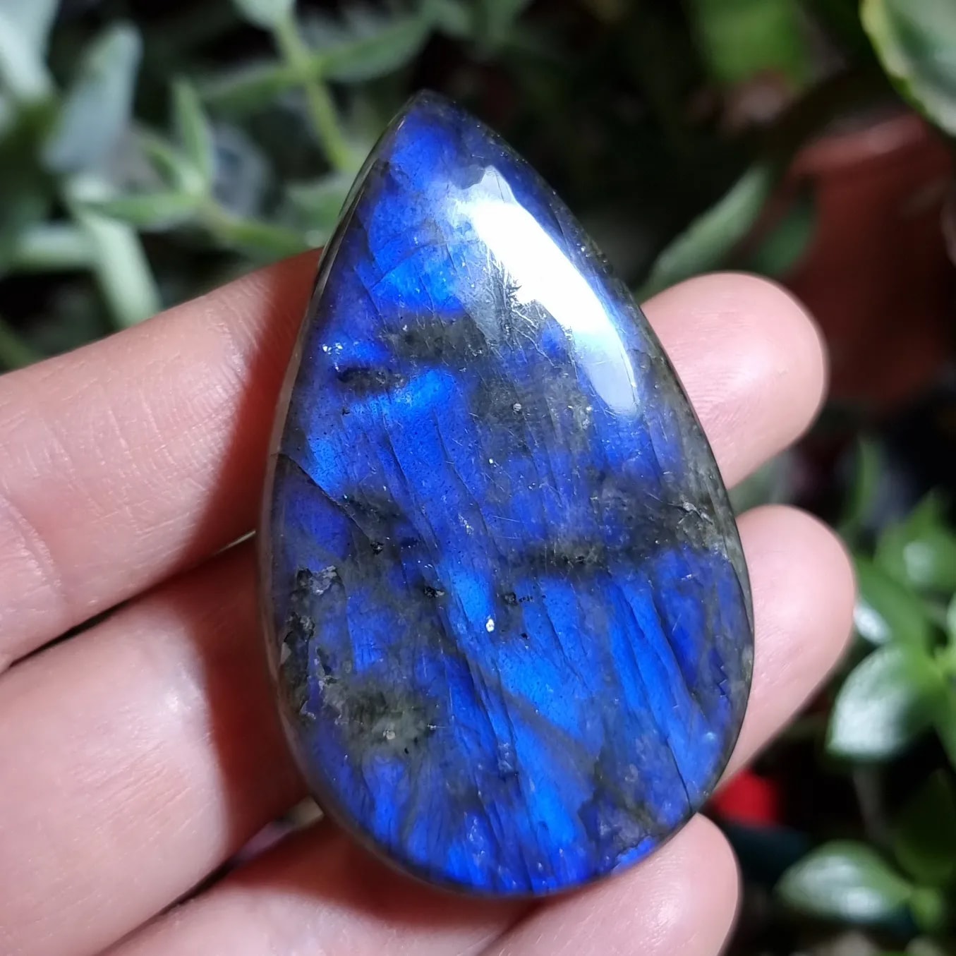 Labradorita Azul XXL - 55,7x34,6 mm