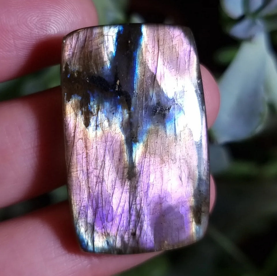 Labradorita Morada - 35,8x22,5 mm