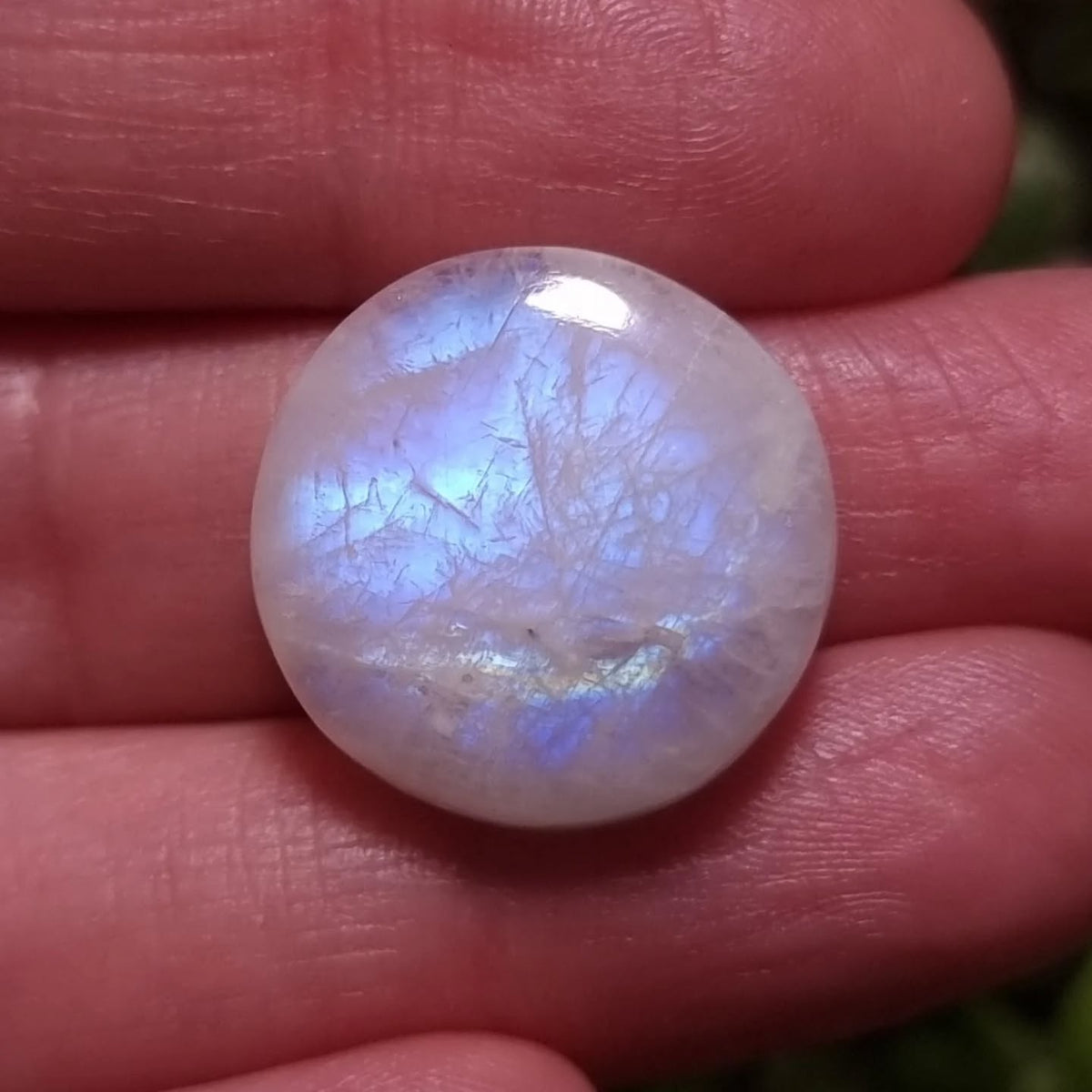 Labradorita Blanca/Piedra Luna Arcoíris Alta Calidad - 20,0 mm aprox.