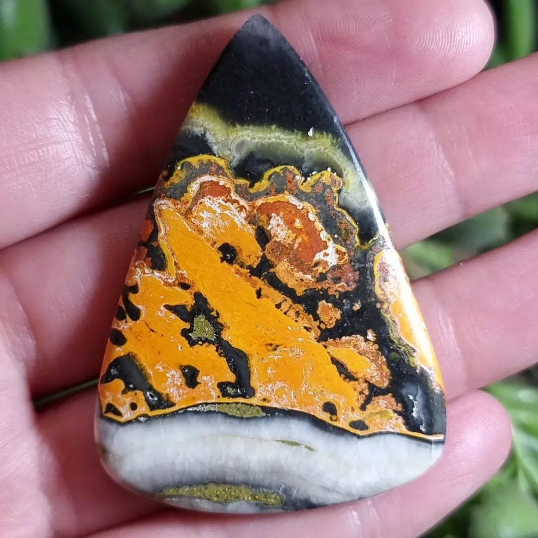 Jaspe Abejorro/Bumble Bee 3XL Alta Calidad - 56,4x40,2 mm