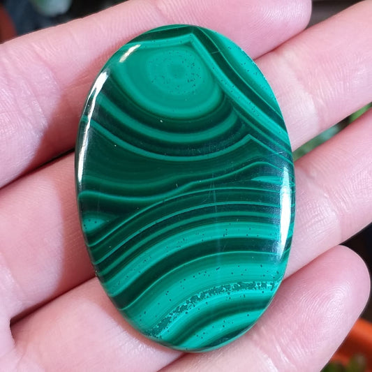 Malaquita - 48,5x32,6 mm