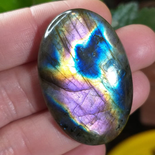 Labradorita Morada - 41,3x27,9 mm