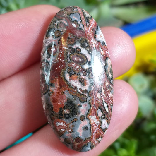 Jaspe Leopardita - 36,7x18,3 mm
