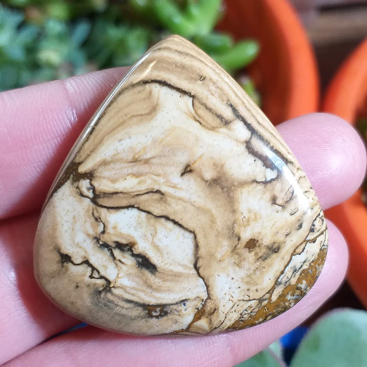 Jaspe Paisina - 41,6x40,8 mm