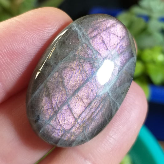 Labradorita Gris Morada - 33,8x22,2 mm
