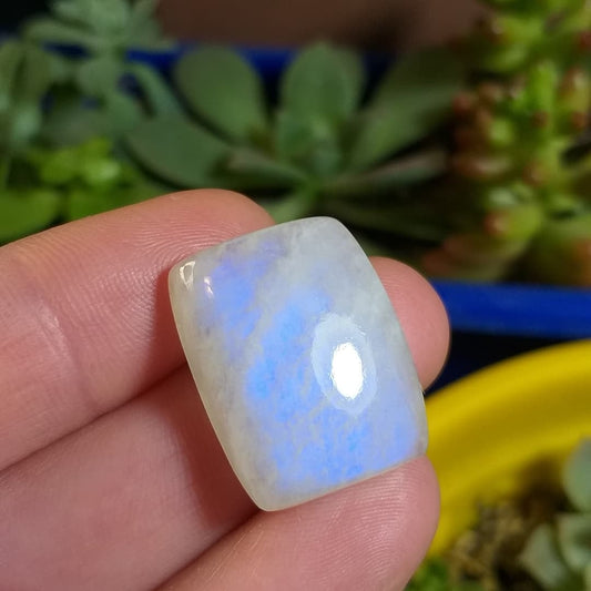 Labradorita Blanca/Piedra Luna Arcoíris - 22,5x17,7 mm