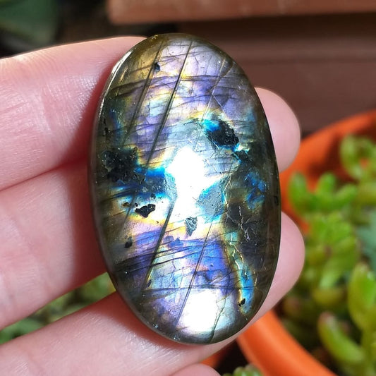 Labradorita Morada - 42,7x27,5 mm