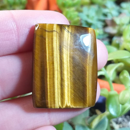 Ojo de Tigre - 31,4x25,5 mm