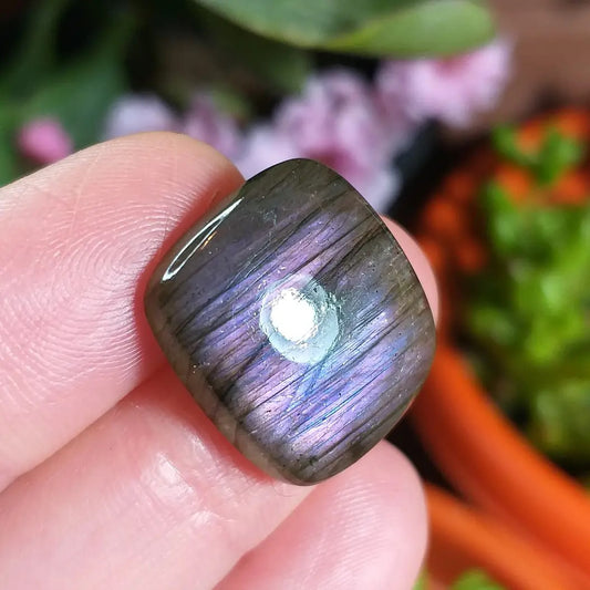 Labradorita Morada - 18,6x17,1 mm