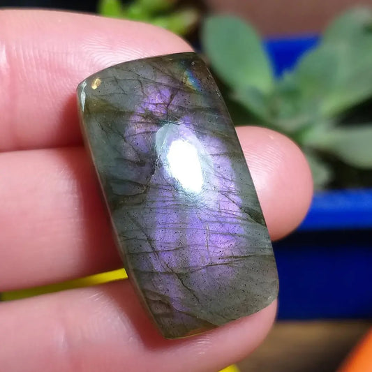 Labradorita Morada - 30,6x16,4 mm