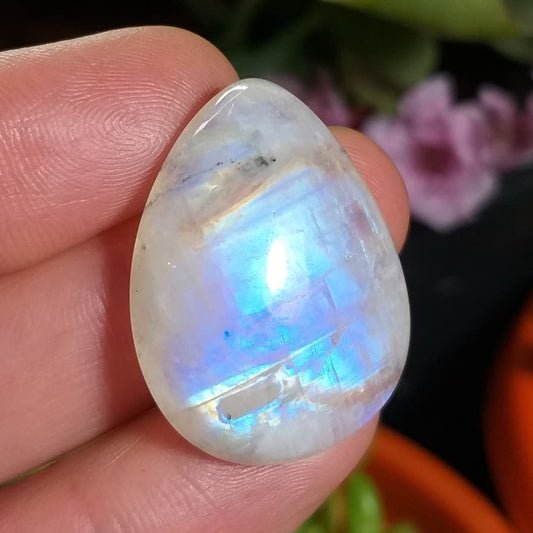 Labradorita Blanca/Piedra Luna Arcoíris - 28,4x21,5 mm