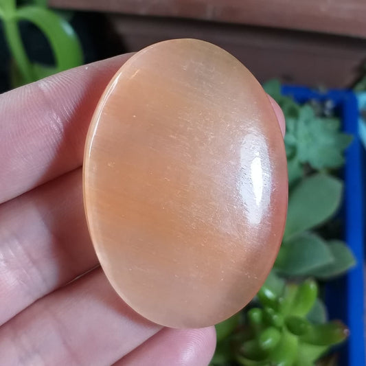 Selenita Gipsita Naranja XXL - 47,9x34,6 mm