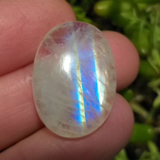 Labradorita Blanca/Piedra Luna Arcoíris - 24,1x17,1 mm