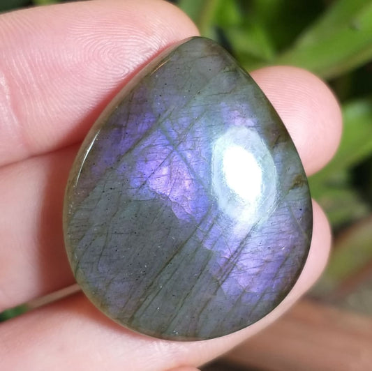Labradorita Morada - 33,4x27,4 mm