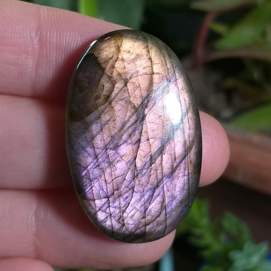Labradorita Rosada Naranja - 36,2x23,1 mm