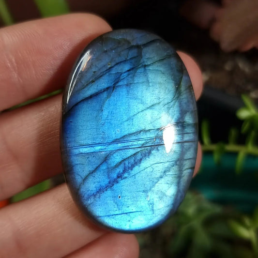 Labradorita Azul Celeste Alta Calidad - 42,9x29,4 mm