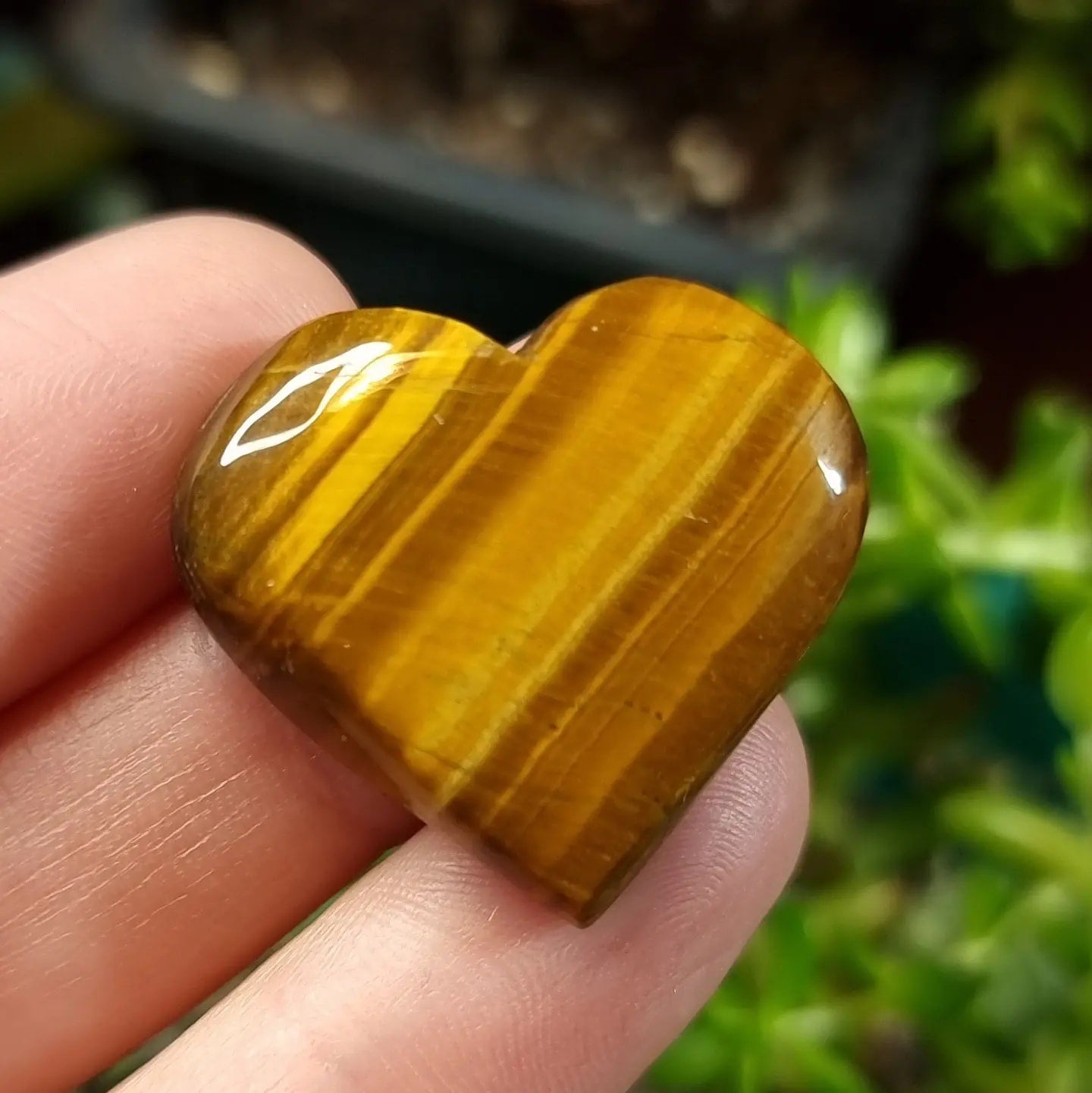 Corazón de Ojo de Tigre - 25,4x28,1 mm