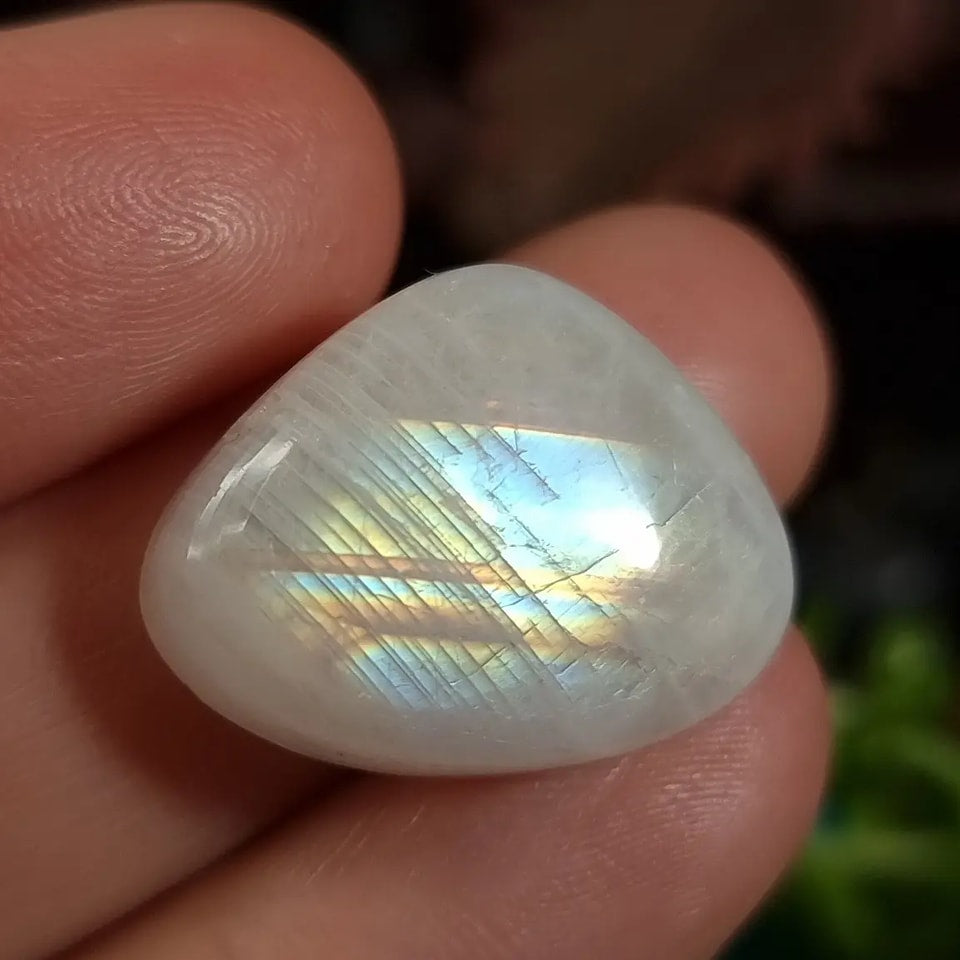 Labradorita Blanca/Piedra Luna Arcoíris - 17,6x22,7 mm