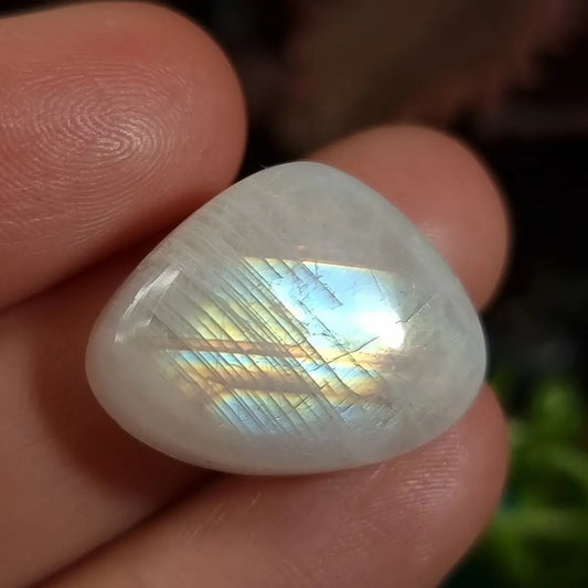 Labradorita Blanca/Piedra Luna Arcoíris - 17,6x22,7 mm