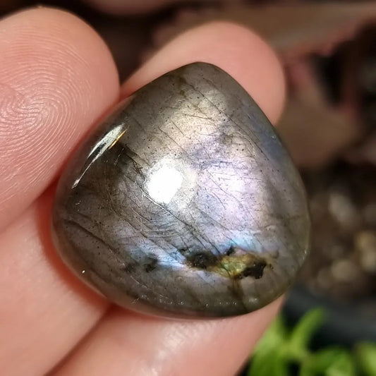 Labradorita Morada - 24,1x25,7 mm