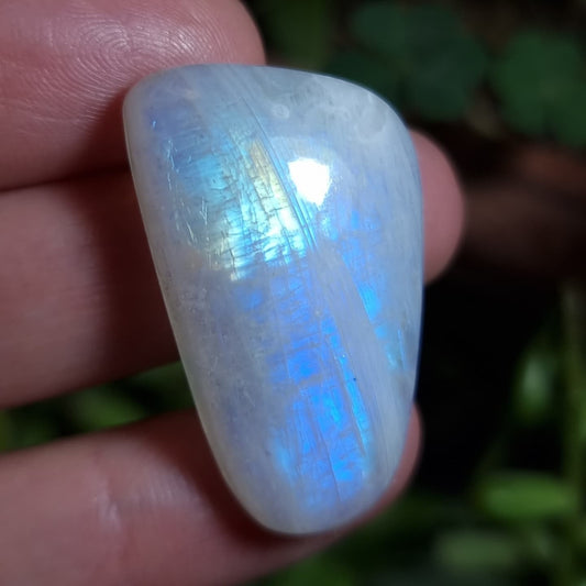 Labradorita Blanca/Piedra Luna Arcoíris - 33,9x21,5 mm