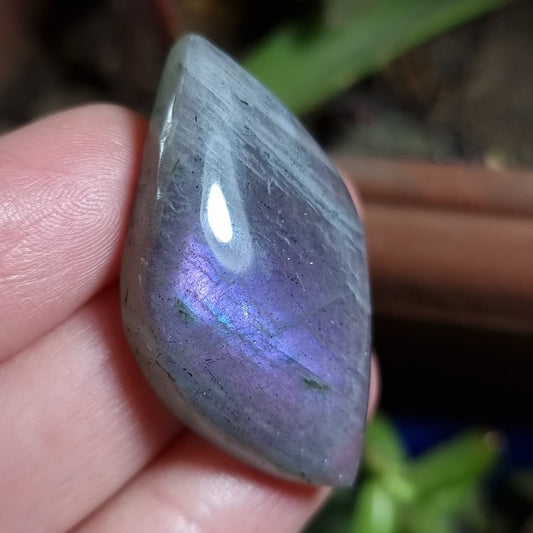 Labradorita Gris Morada - 40,1x22,7 mm