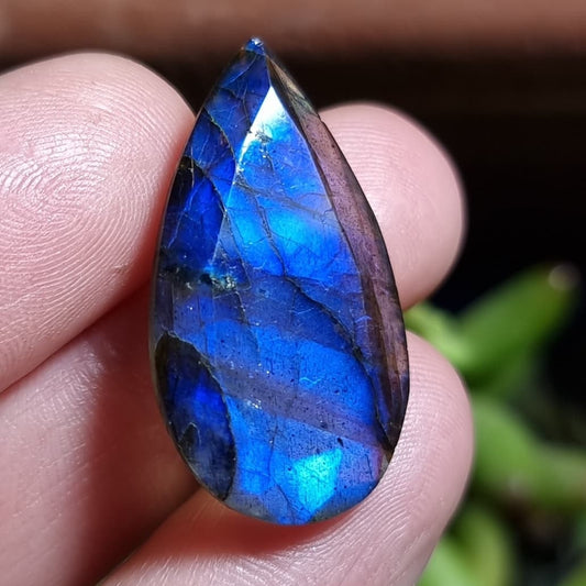 Labradorita Facetada - 27,3x15,0 mm
