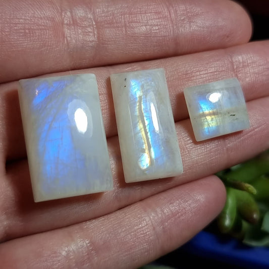 Lote de 3 Labradorita Blanca/Piedra Luna Arcoíris - entre 12,5 mm y 25,0 mm