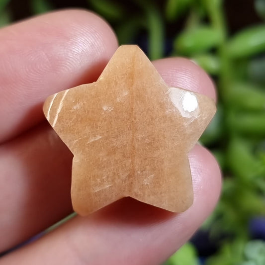 Estrella de Amazonita Peach - 24,6x24,1 mm