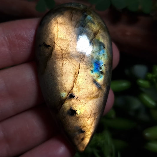 Labradorita Naranja XXL - 56,3x29,3 mm