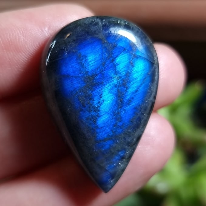Labradorita Azul - 33,8x22,8 mm