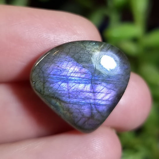 Labradorita Morada - 19,0x20,4 mm