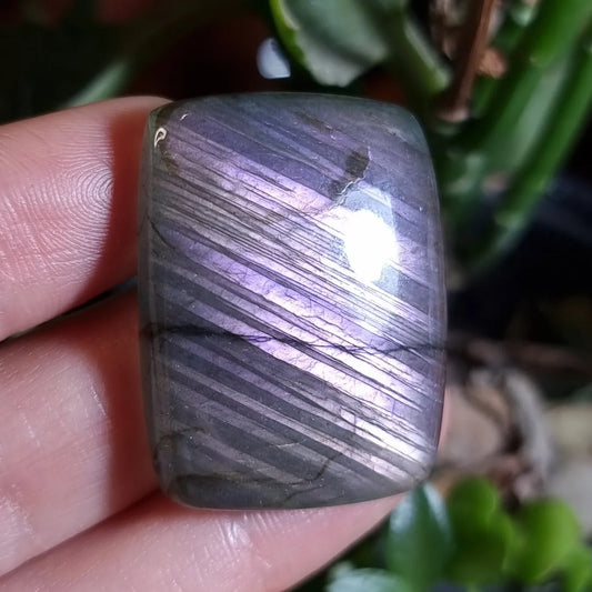 Labradorita Morada - 34,9x26,6 mm