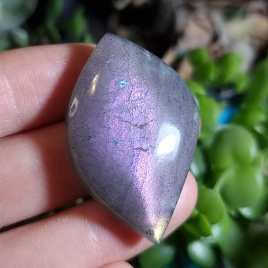 Labradorita Gris Morada - 41,6x26,1 mm
