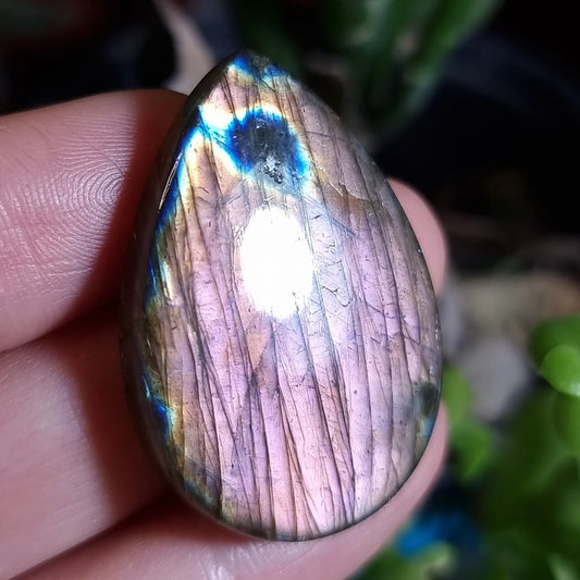 Labradorita Rosada - 36,8x25,5 mm