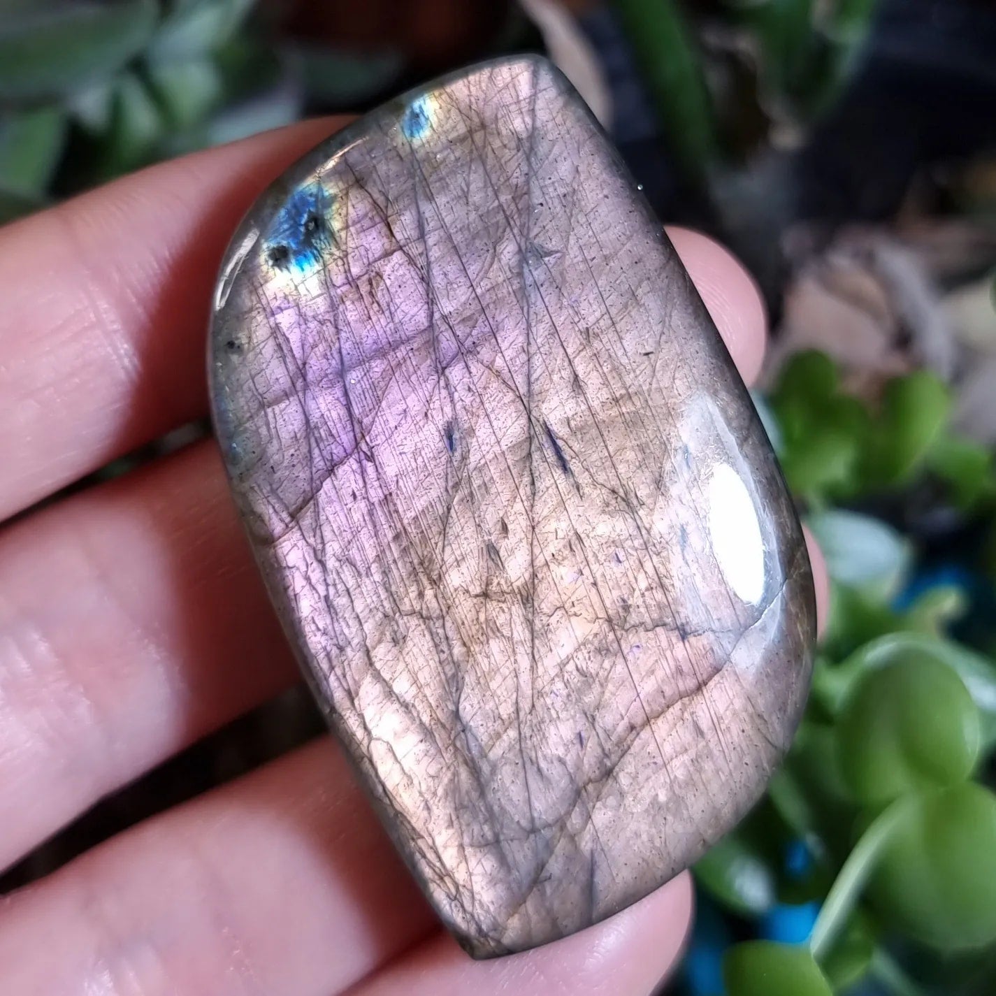Labradorita Morada Naranja XXL - 51,7x32,2 mm
