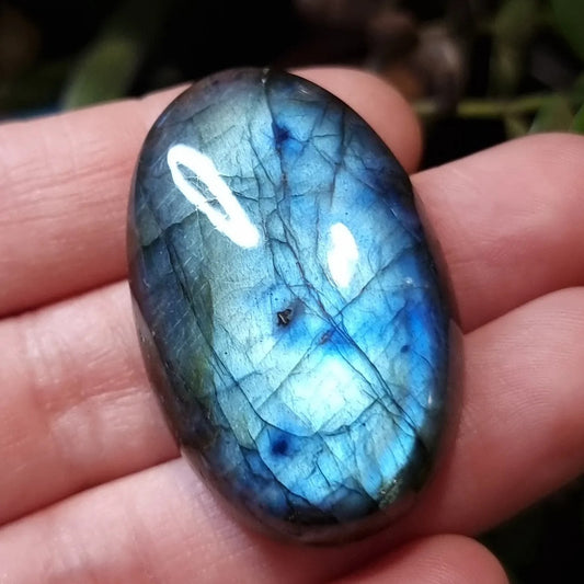 Labradorita Celeste Azul - 41,5x25,9 mm