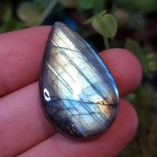 Labradorita Celeste Azul - 33,7x21,2 mm