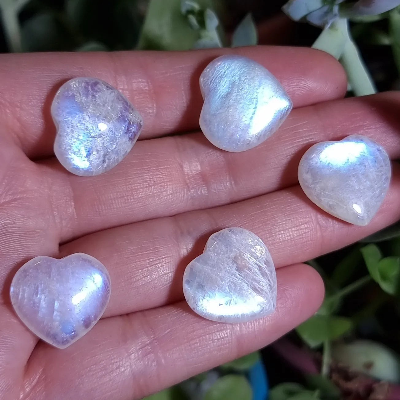 Lote de 5 Corazones de Piedra Luna Adularia Alta Calidad - entre 16,7 mm y 19,1 mm