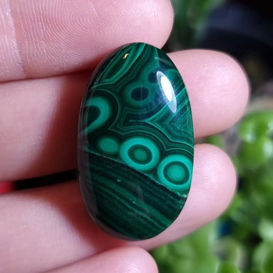 Malaquita - 30,0x17,7 mm