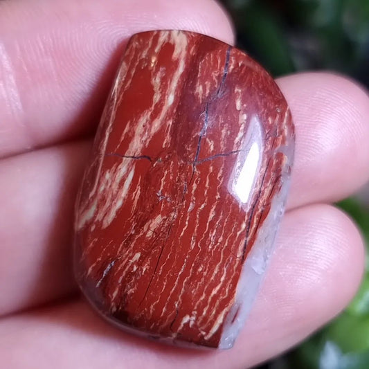 Jaspe Piel de Serpiente - 33,5x27,6 mm