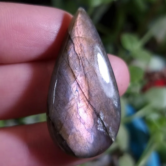 Labradorita Rosada - 40,6x20,2 mm