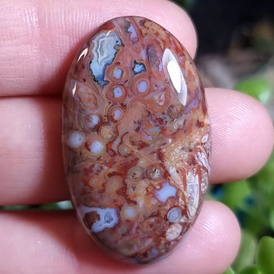 Ágata Raíz de Palma - 36,1x21,7 mm