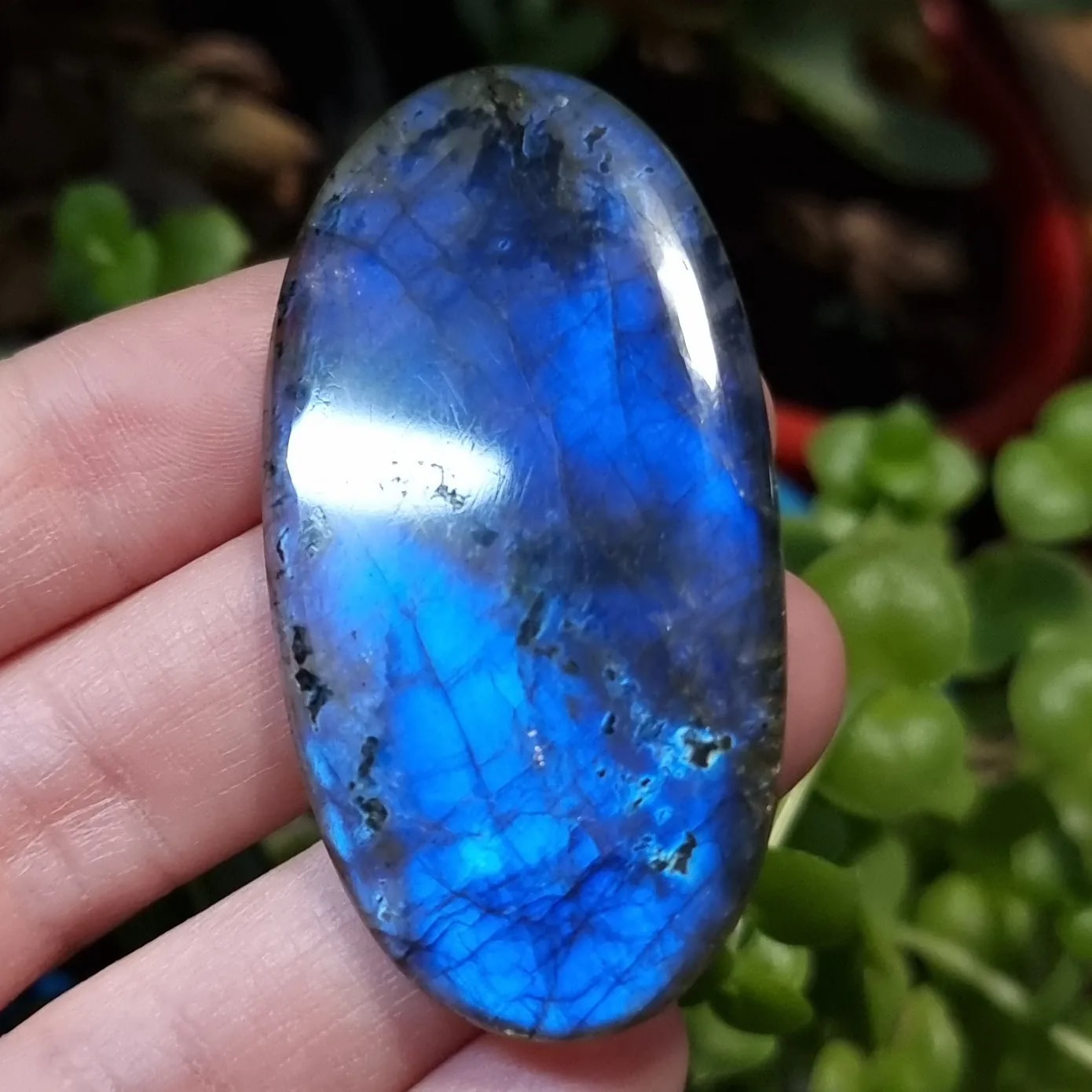 Labradorita Azul XXL - 57,4x29,5 mm