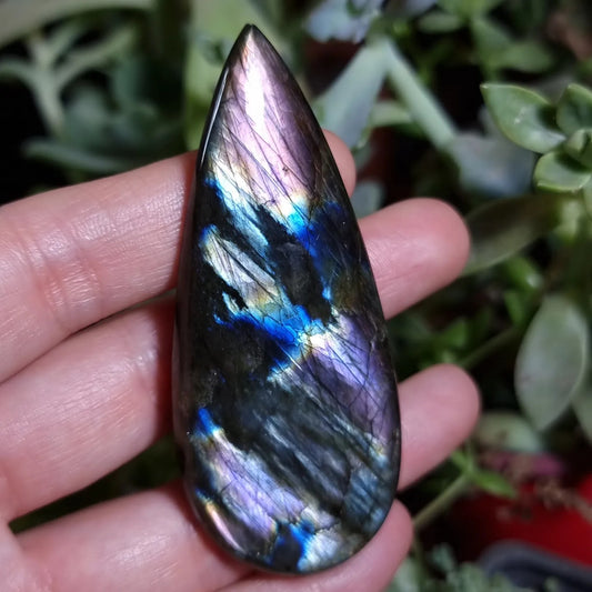 Labradorita Morada 5XL - 76,6x33,1 mm