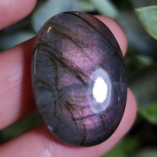 Labradorita Doble Flash Morado y Naranjo (distinto ángulo) - 31,0x21,5 mm
